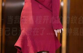 语画界 – 当我在看程开心的豹纹合集时，发现自己已沉浸在了……某种氛围里。
