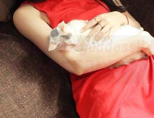 青豆客 – 接招！雨婷goddess比基尼美图，一定要下载的图包。